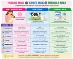 Why Human Milk Is Best for Your Baby Not Cow or Formula Milk