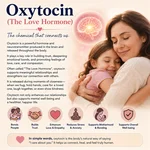 Oxytocin (The love Hormone)
